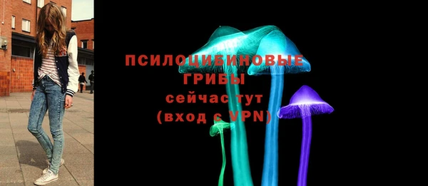 амф Балахна