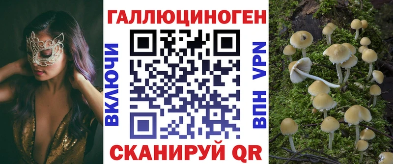 как найти закладки  Суздаль  Галлюциногенные грибы MAGIC MUSHROOMS 